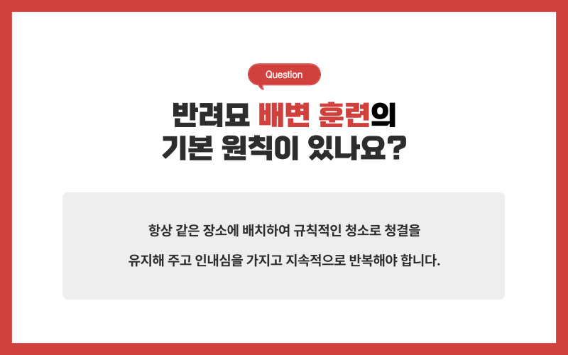 고양이 배변훈련_상세이미지_2