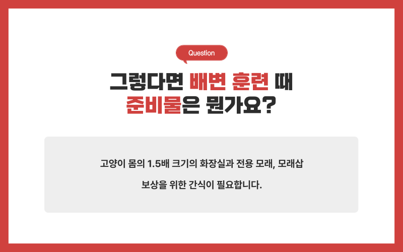 고양이 배변훈련_상세이미지_3
