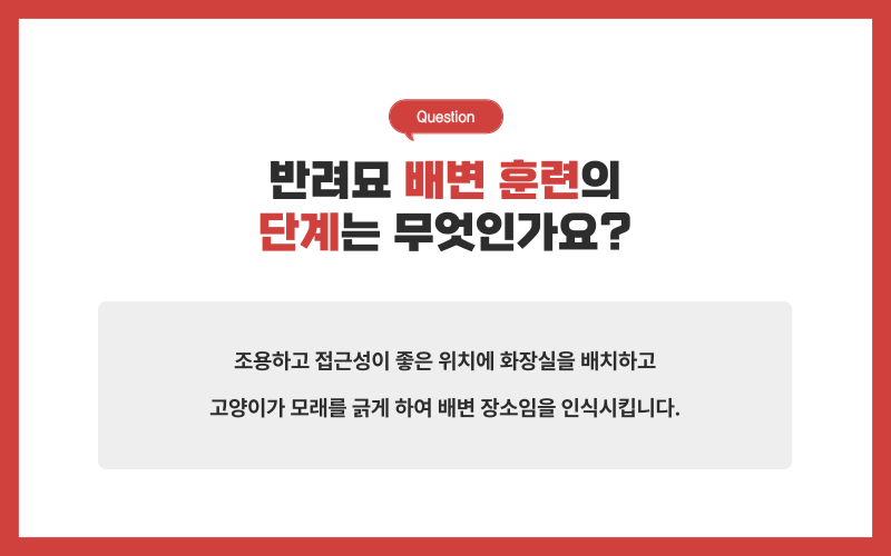 고양이 배변훈련_상세이미지_4