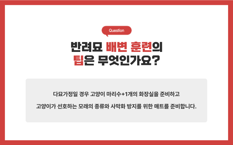 고양이 배변훈련_상세이미지_5