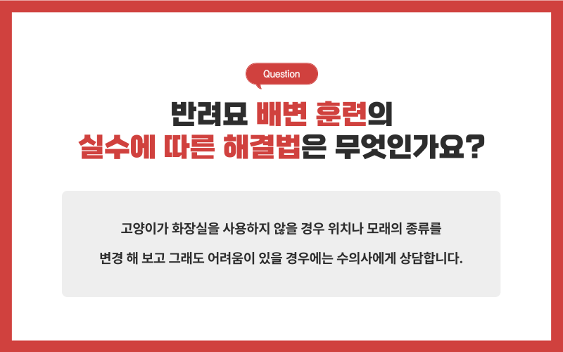 고양이 배변훈련_상세이미지_6