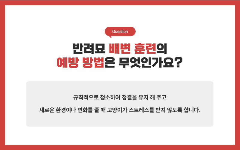 고양이 배변훈련_상세이미지_7