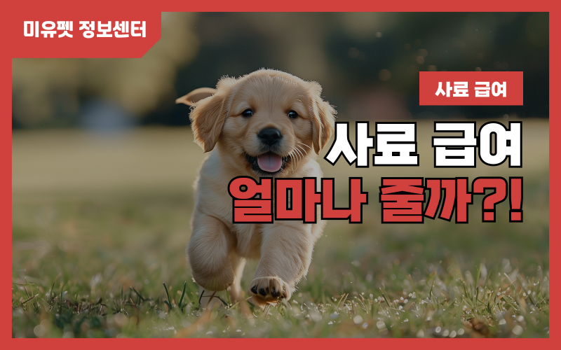 1721008567_001.png 강아지 식이_상세이미지_1