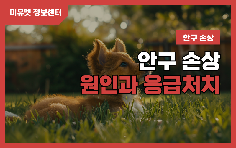 눈의 손상_상세이미지_1