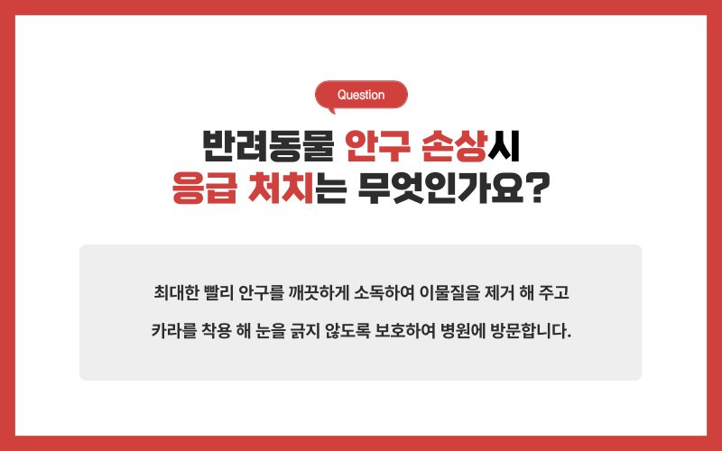 눈의 손상_상세이미지_4