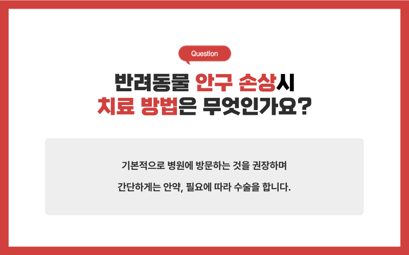 눈의 손상_상세이미지_5