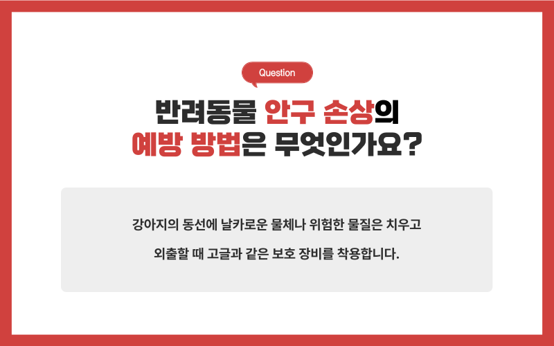 눈의 손상_상세이미지_6