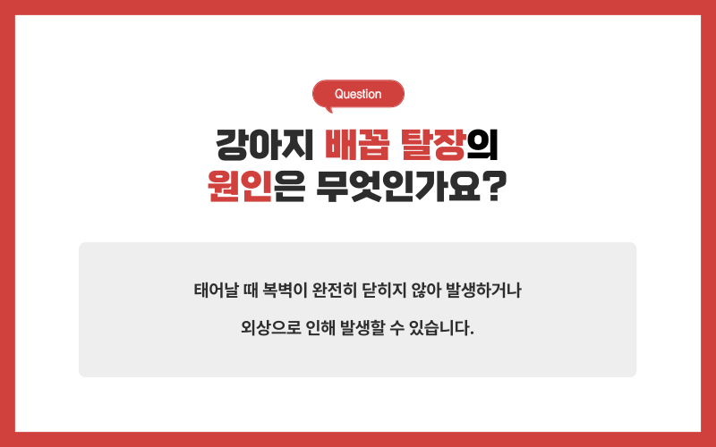배꼽 탈장이란?_상세이미지_2