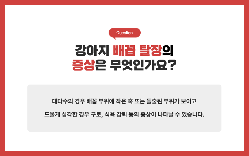 배꼽 탈장이란?_상세이미지_3