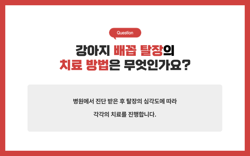 배꼽 탈장이란?_상세이미지_4