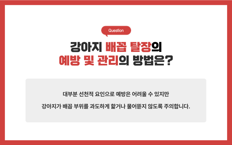 배꼽 탈장이란?_상세이미지_5