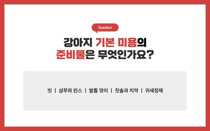 강아지 미용, 미용시 주의사항_상세이미지_2
