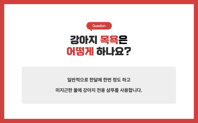 강아지 미용, 미용시 주의사항_상세이미지_3