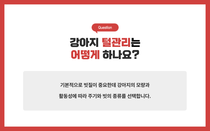 강아지 미용, 미용시 주의사항_상세이미지_4