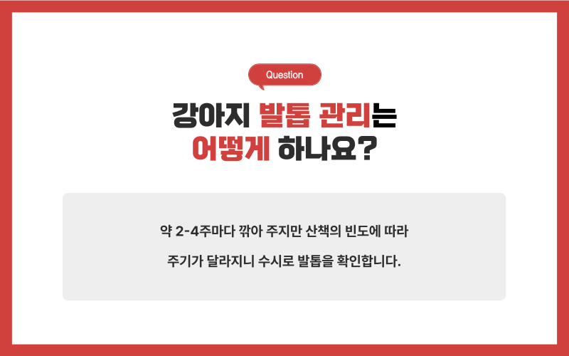 강아지 미용, 미용시 주의사항_상세이미지_5