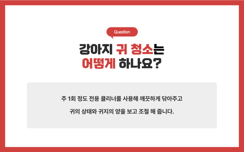 강아지 미용, 미용시 주의사항_상세이미지_6
