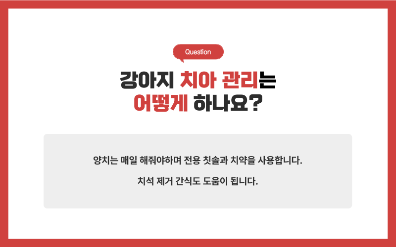 강아지 미용, 미용시 주의사항_상세이미지_7