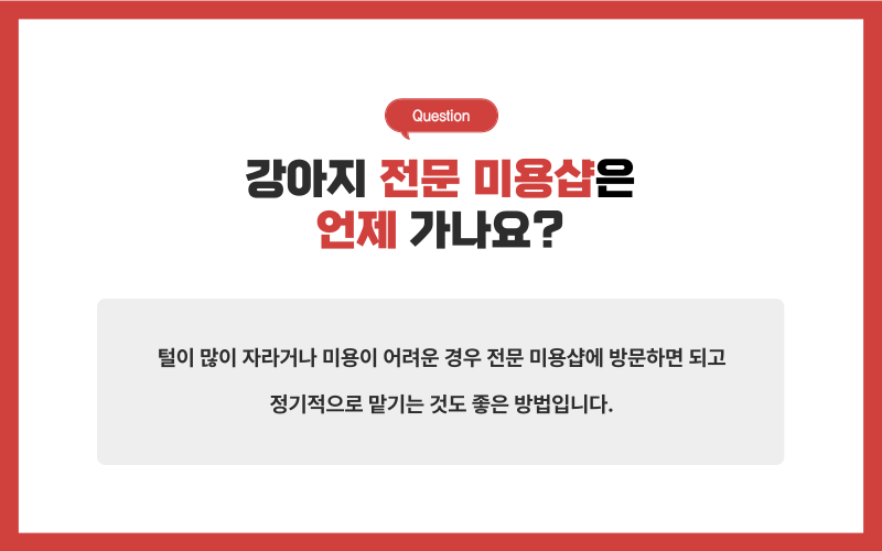 강아지 미용, 미용시 주의사항_상세이미지_8