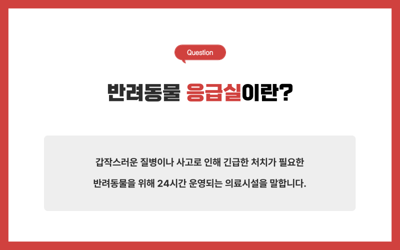 반려동물 응급실_상세이미지_2