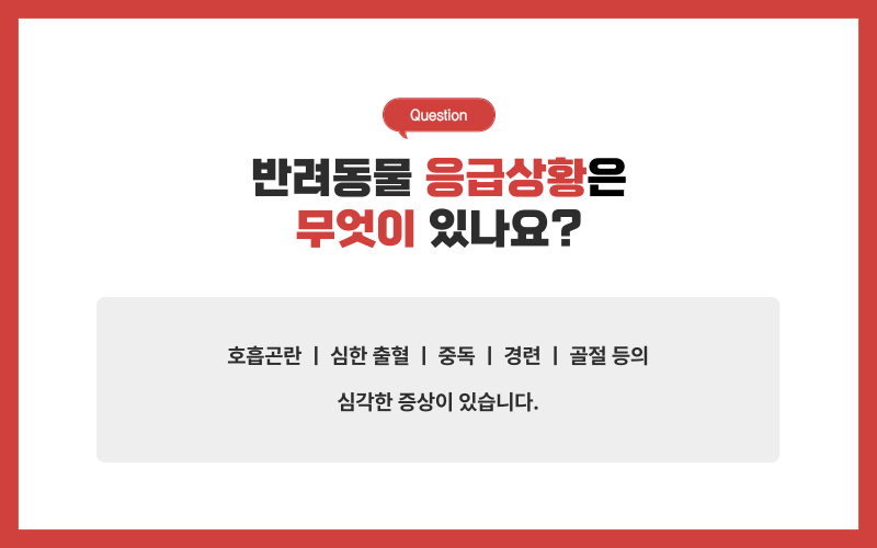 반려동물 응급실_상세이미지_3