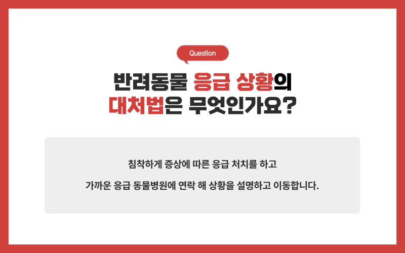 반려동물 응급실_상세이미지_4
