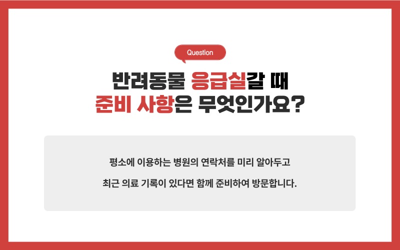 반려동물 응급실_상세이미지_5