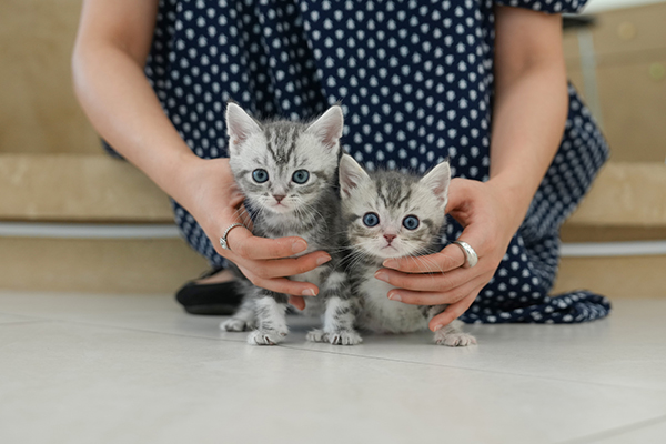 아메숏_30-8,31-12_여_15_45.jpg