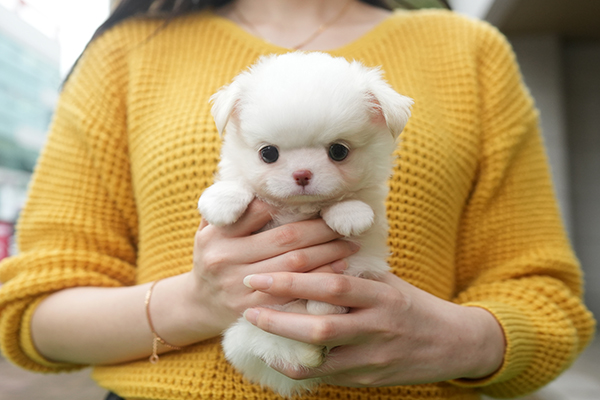 장치 남아 50.jpg
