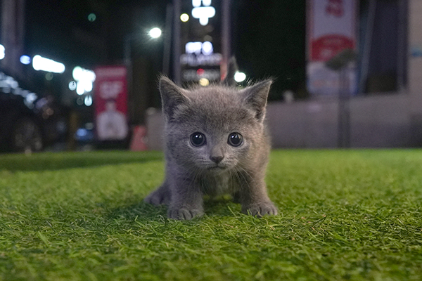 러블 여 65.jpg