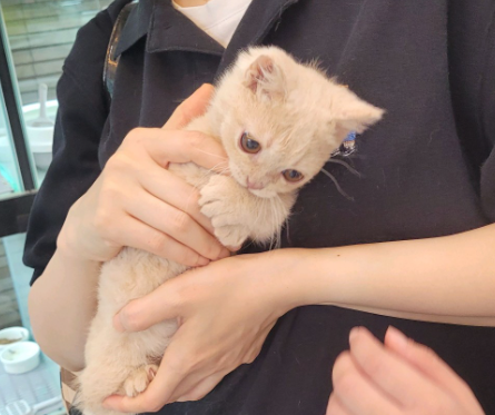 네이버리뷰_상세페이지_1