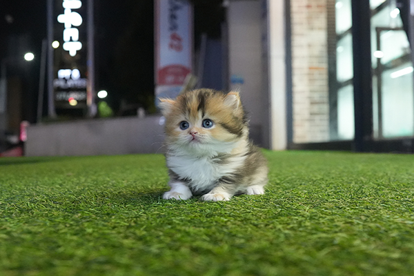 5페르 남아 15.jpg