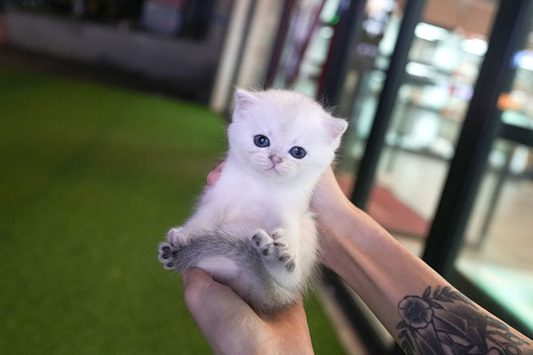 먼치킨 남아 35.jpg