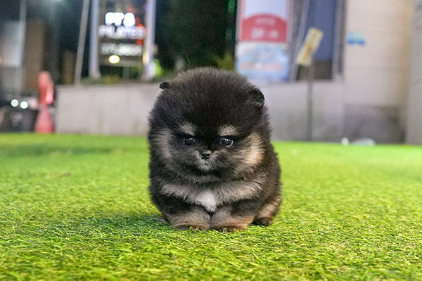 7블탄 남 75.jpg