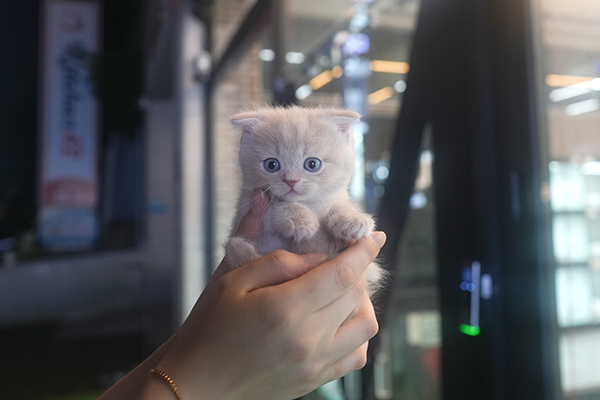 폴드 남아 55.jpg