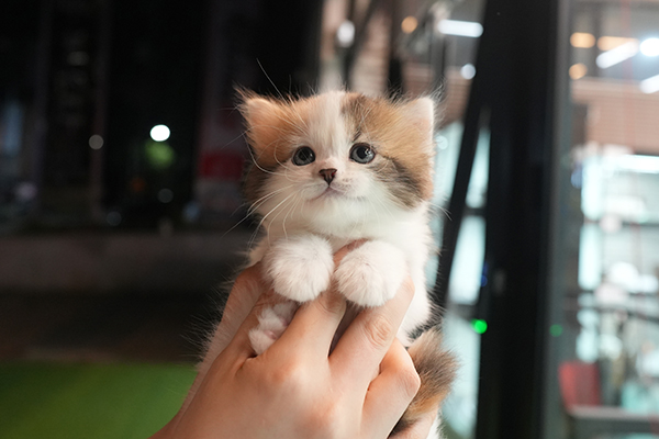 4페르 여아 50.jpg