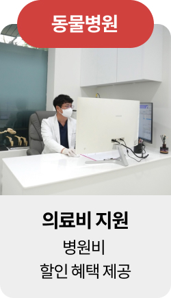 미유펫청주혜택_섹션1_1