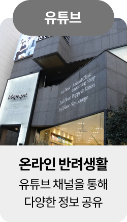 미유펫청주혜택_섹션1_11