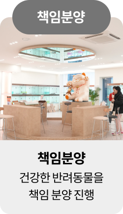 미유펫청주혜택_섹션1_14
