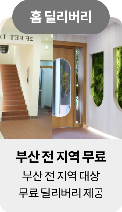 미유펫청주혜택_섹션1_15