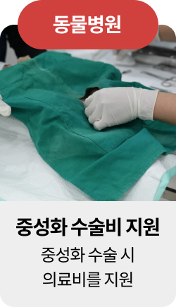 미유펫청주혜택_섹션1_2