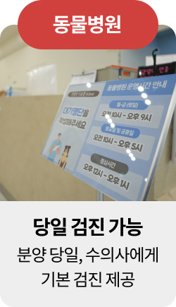 미유펫청주혜택_섹션1_3