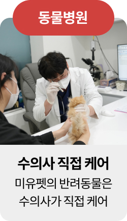 미유펫청주혜택_섹션1_4