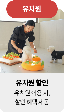 미유펫청주혜택_섹션1_5