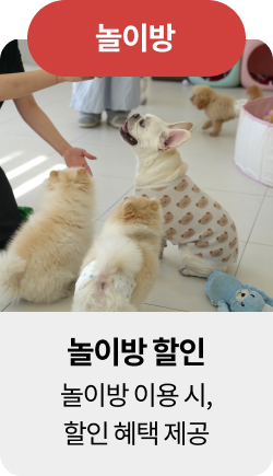 미유펫청주혜택_섹션1_6