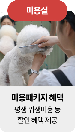 미유펫청주혜택_섹션1_8