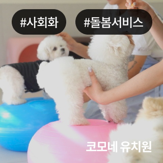 미유펫청주_회사소개_섹션_1_1