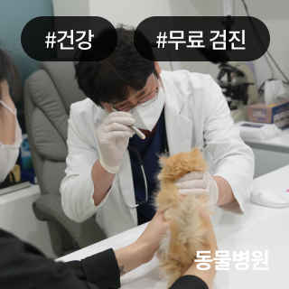 미유펫청주_회사소개_섹션_1_2