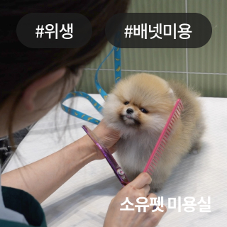 미유펫청주_회사소개_섹션_1_3