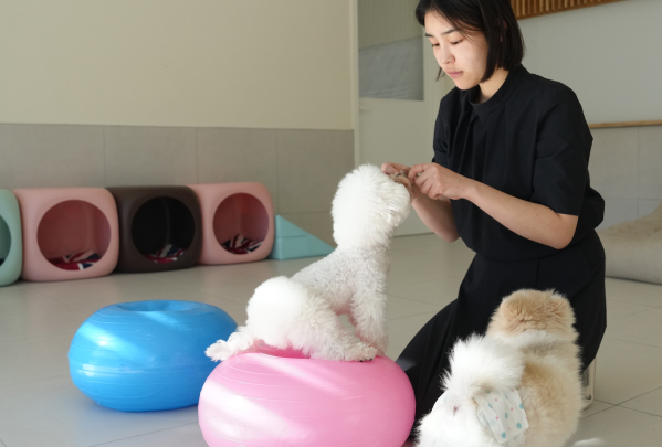 미유펫_유치원호텔_섹션_2
