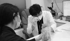 미유펫청주_메뉴_2_2_off
